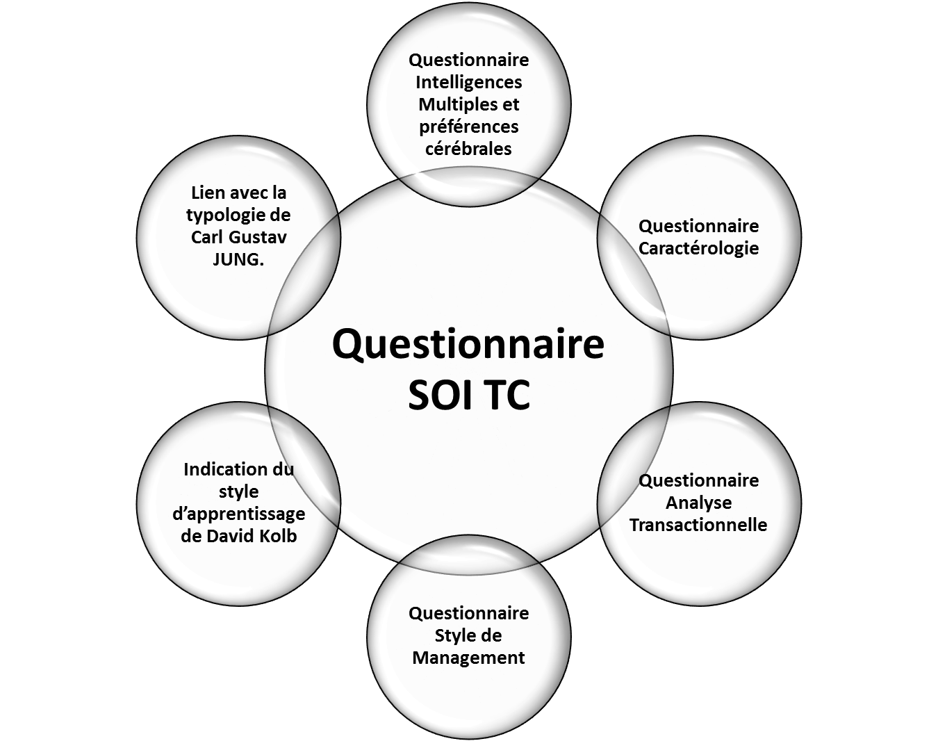 Questionnaire_SOITC Questionnaire_SOITC